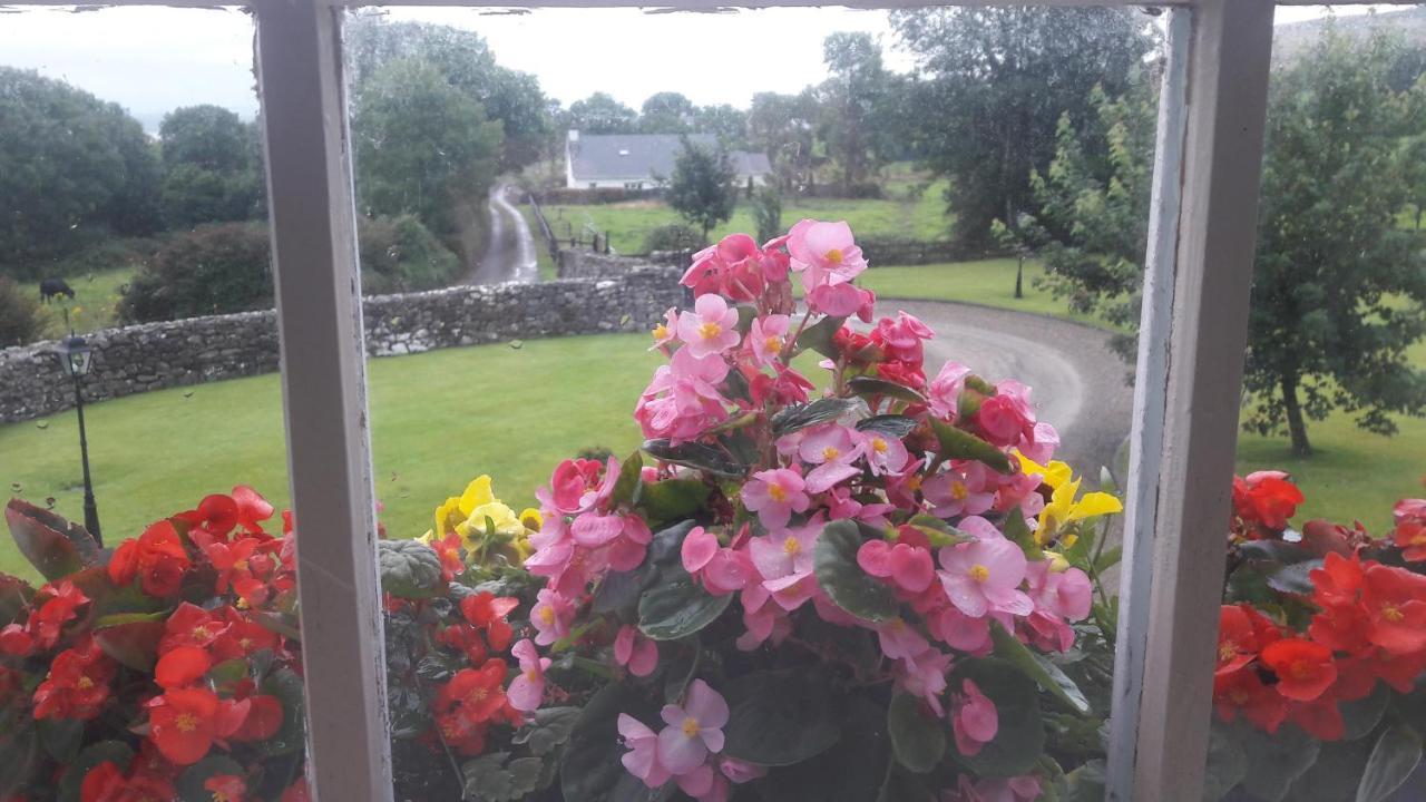 Bealkelly Country House Killaloe Luaran gambar